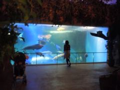 人魚になりたくて。