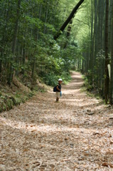 竹林とおさる