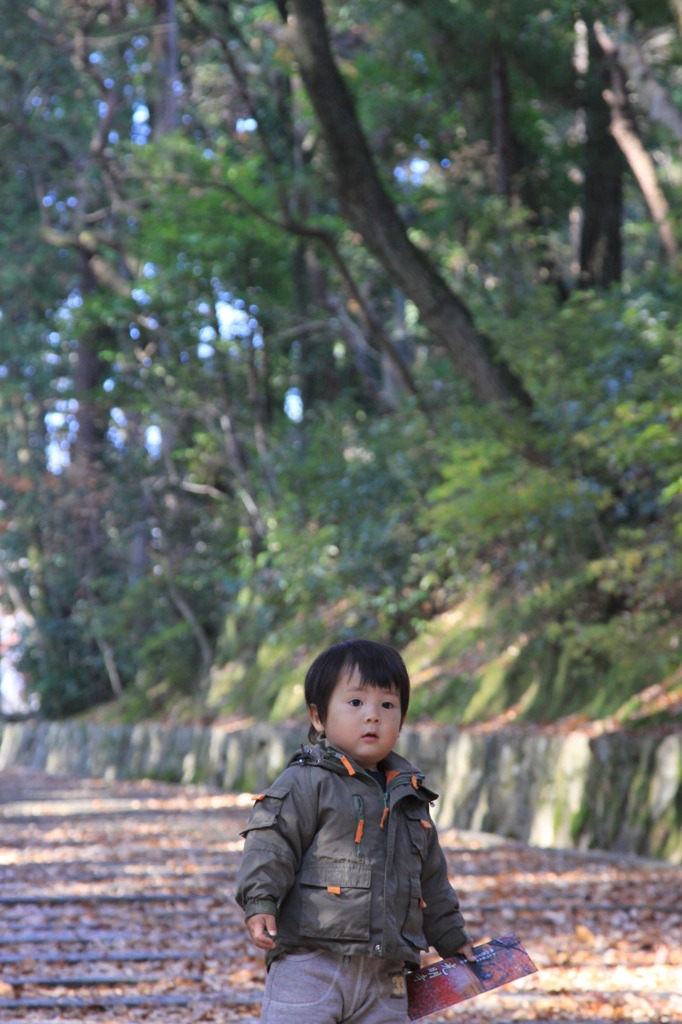 おさると森
