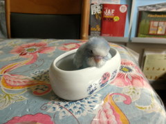 入浴中