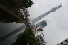 IMG_0101