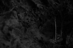 no_title (2011_07_15)
