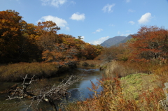 戦場ヶ原を流れる