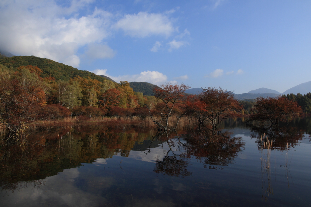 湖に浮かぶ