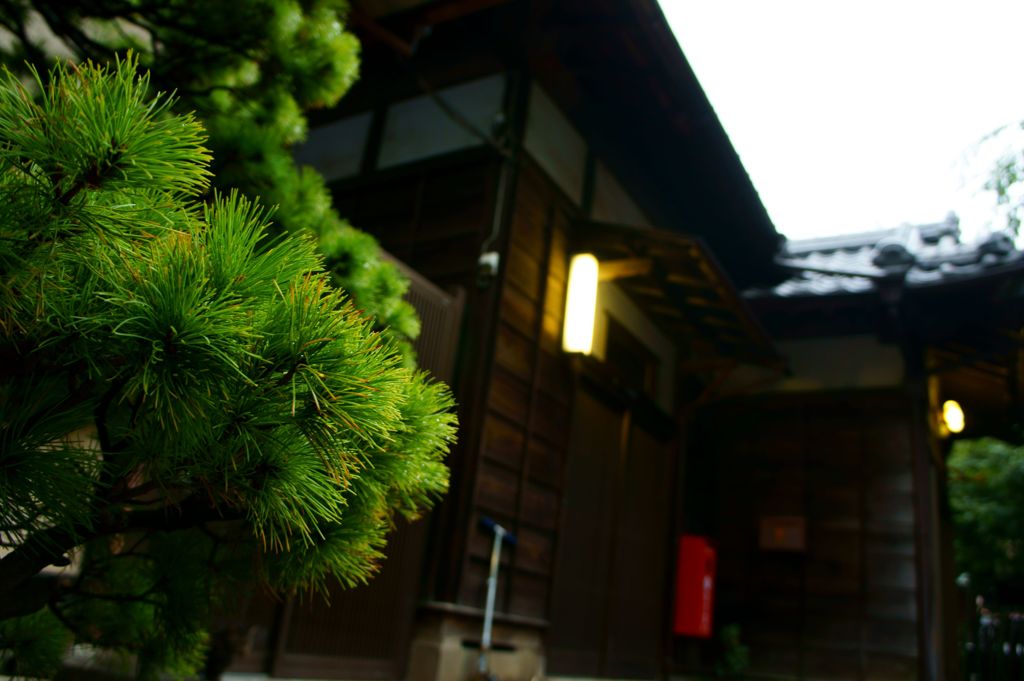 雰囲気漂う。。