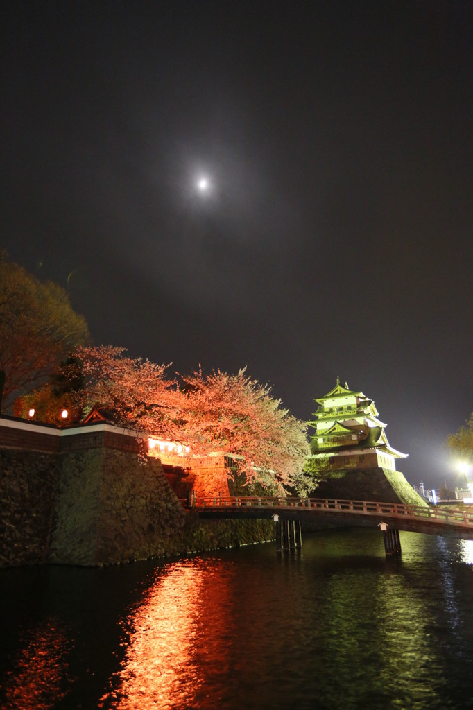 桜の終わりの頃