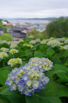 男鹿半島への旅～雲昌寺