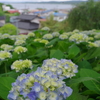 男鹿半島への旅～雲昌寺