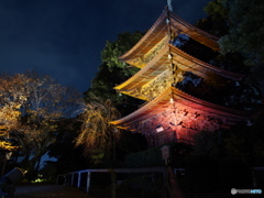 椿山荘の紅葉ライトアップ－３