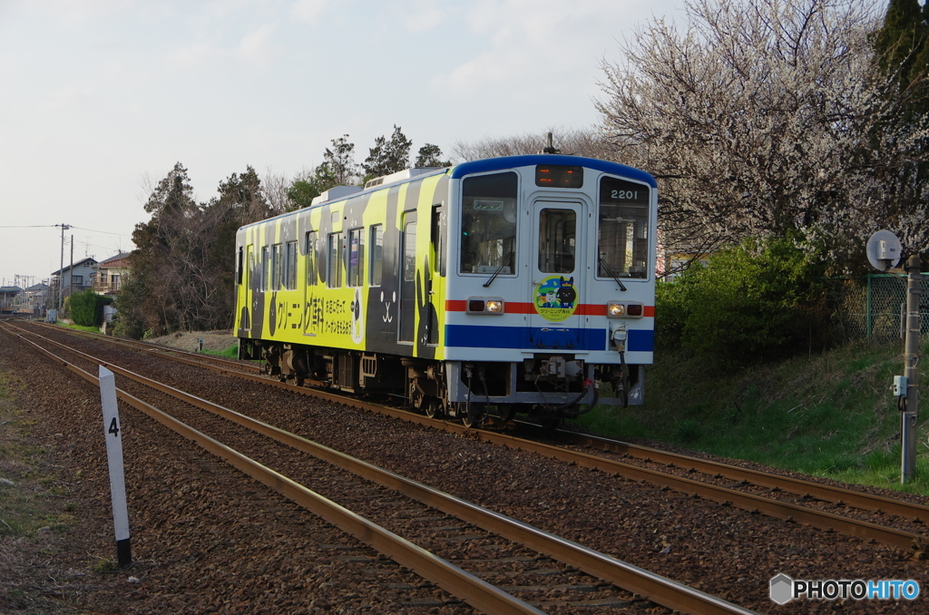 高井城址公園-6