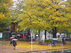 １１月の雪－２