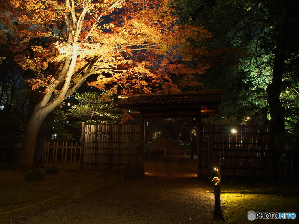 六義園2017秋-1