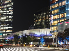 東京駅グランルーフ Light on Train-1