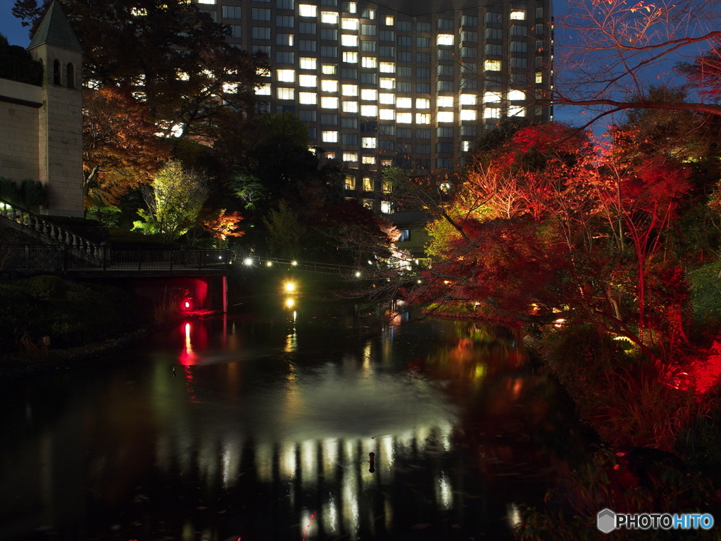 椿山荘の紅葉ライトアップ－４