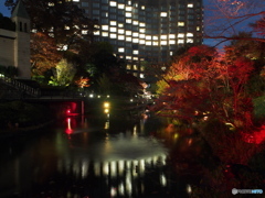 椿山荘の紅葉ライトアップ－４