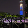 亀戸天神（２０１５年）