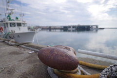 那珂湊の岸壁