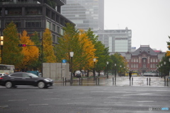 １１月の雪－４