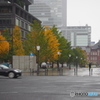 １１月の雪－４