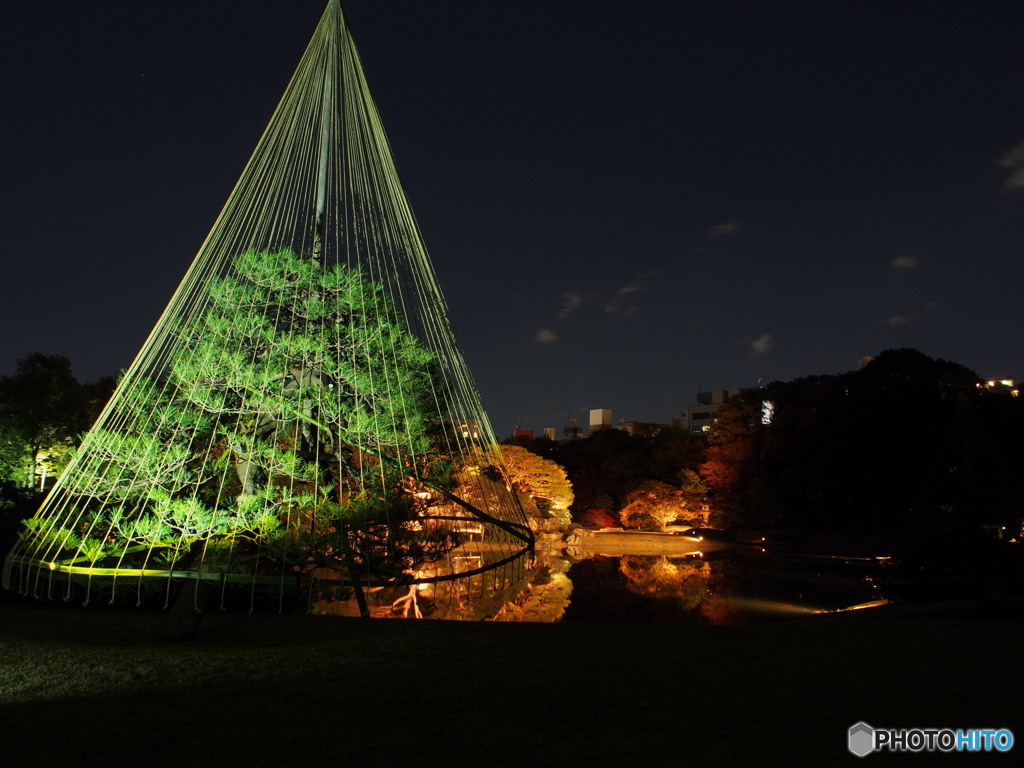 六義園2017秋-4