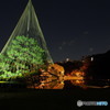 六義園2017秋-4