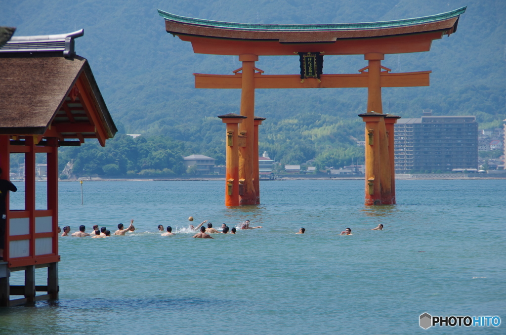 宮島厳島神社玉取祭-4