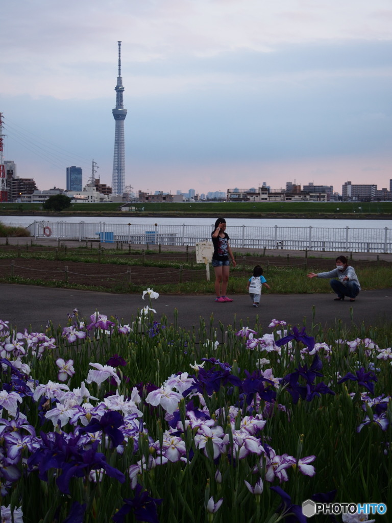 堀切水辺公園-1