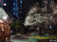 湯島天神-２