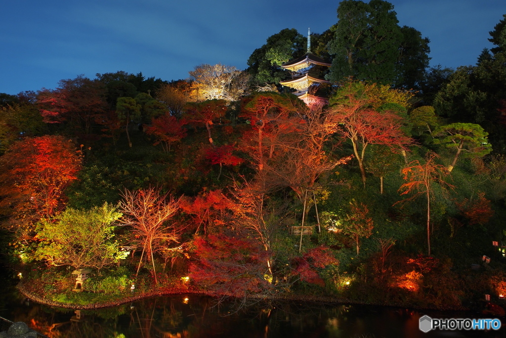 椿山荘の紅葉ライトアップ－２