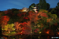 椿山荘の紅葉ライトアップ－２
