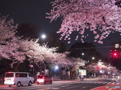 靖国神社前-2