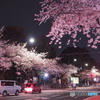 靖国神社前-2