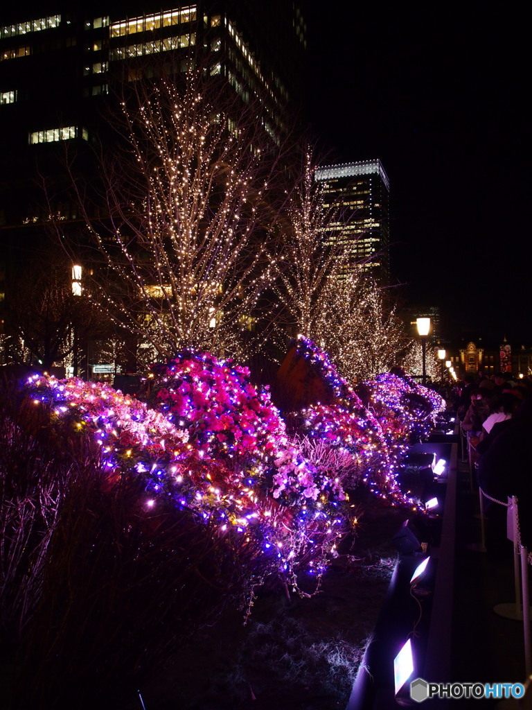 東京ミチテラス2017-1