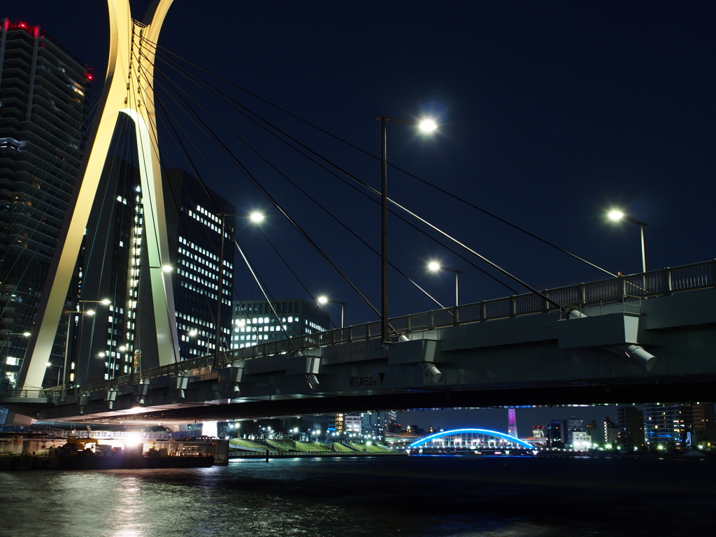 佃島（中央大橋）
