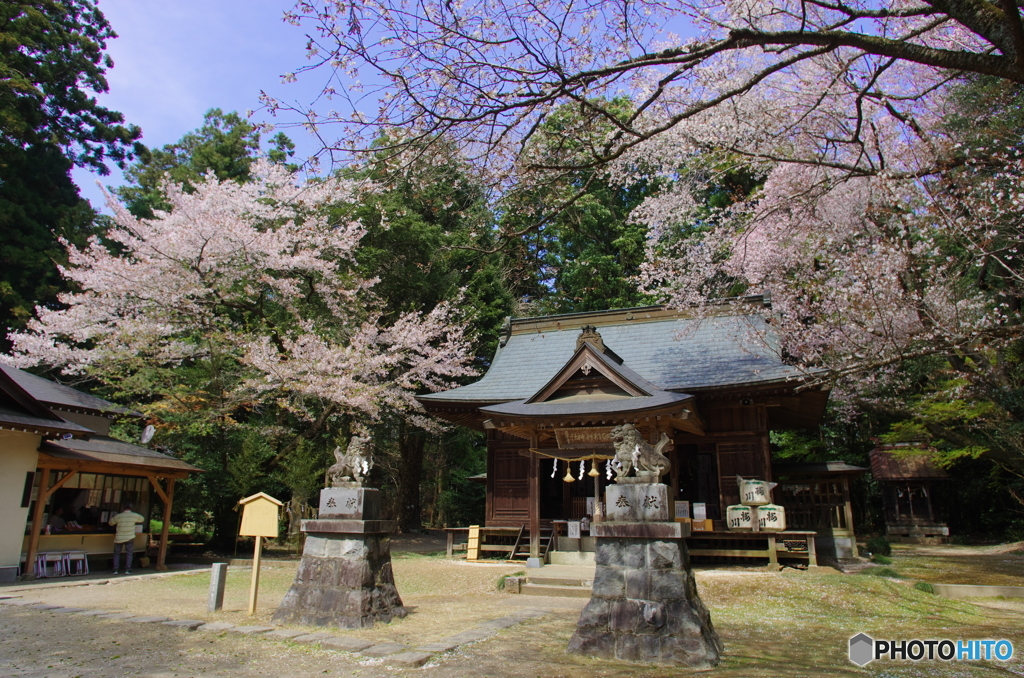 櫻川磯部稲村神社-2