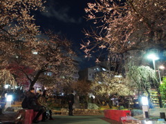 湯島天神-1