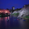 千鳥ヶ淵の夜桜