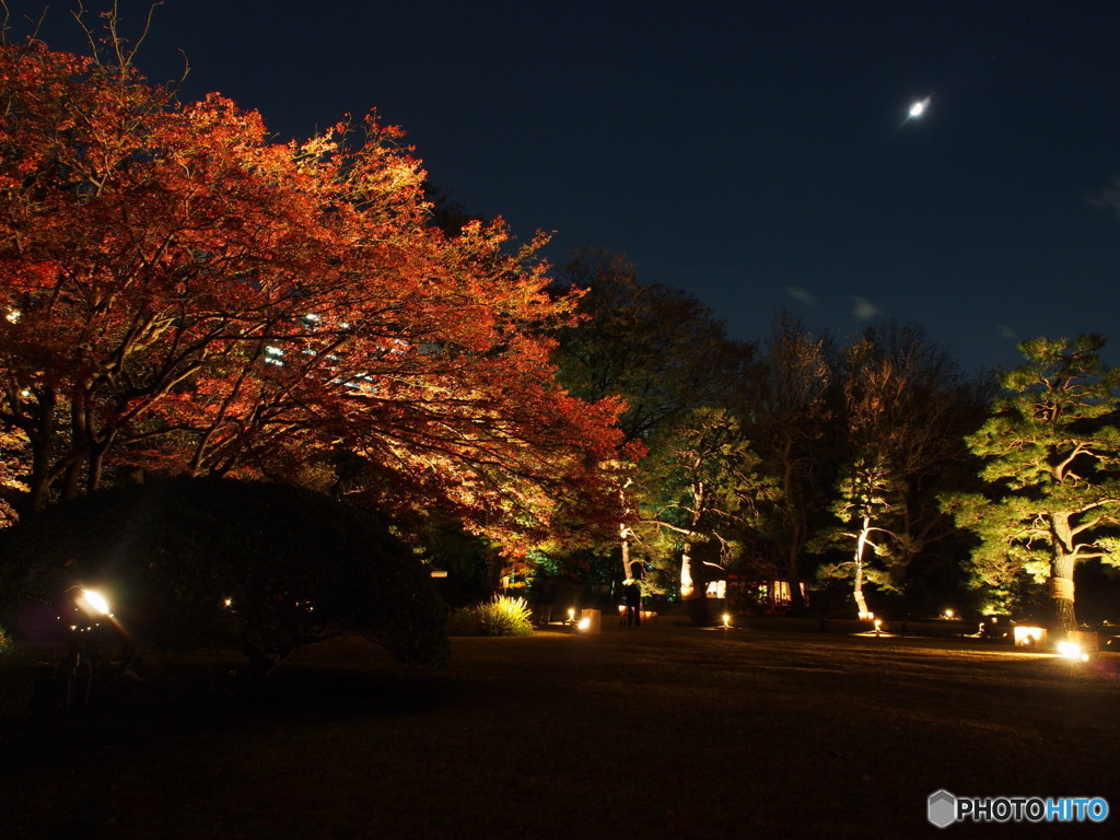 六義園2017秋-2