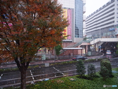 １１月の雪－１