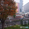 １１月の雪－１