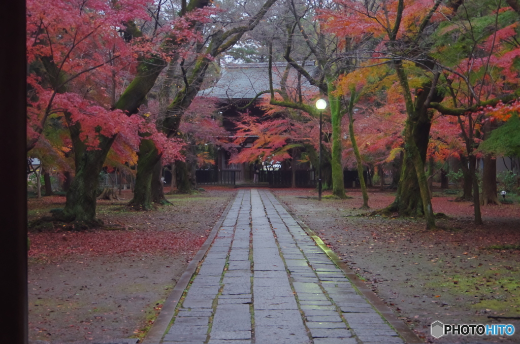 小金東漸寺の紅葉－４