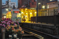 都電三ノ輪橋（バラ）