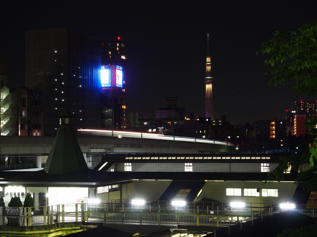 谷中からのスカイツリー