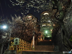 湯島天神-４