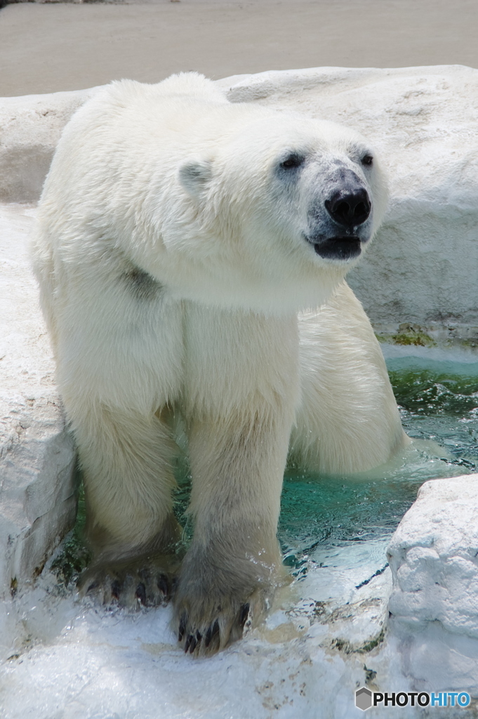 上野動物園-1