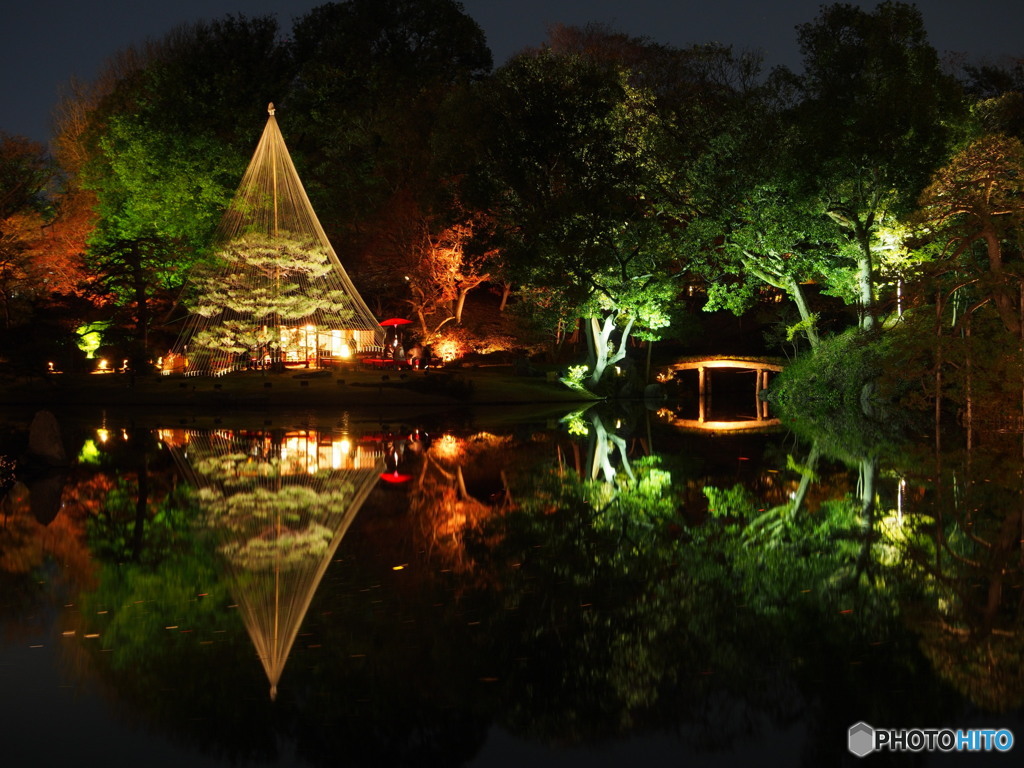 六義園2017秋-3