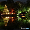 六義園2017秋-3