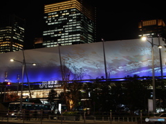 東京駅グランルーフ Light on Train-2