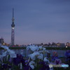 堀切水辺公園-4