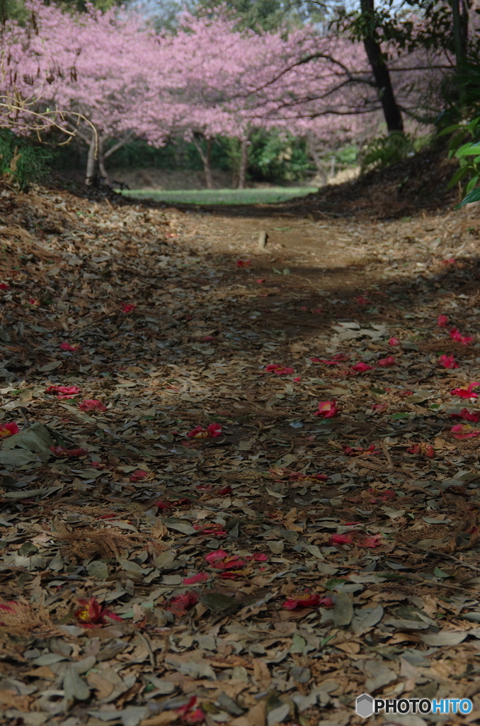 高井城址公園-4